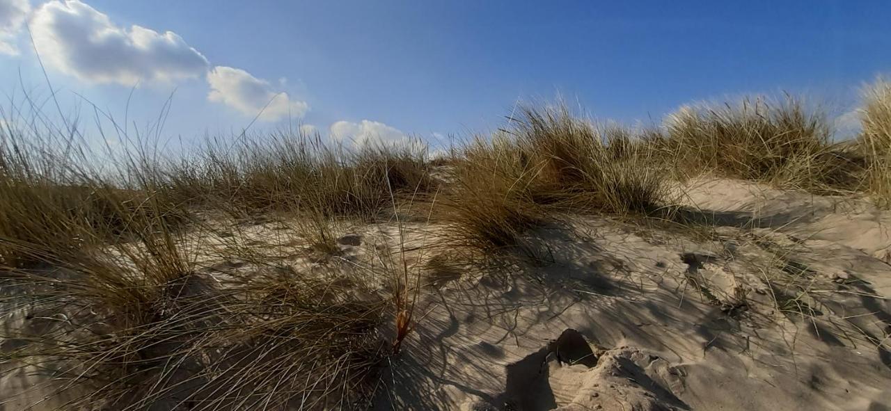 Koksijde Promenade Lägenhet Exteriör bild